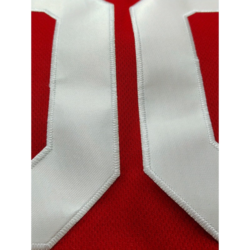 Баскетбольная майка с именем и – обзор и цена Embroidery Jersey